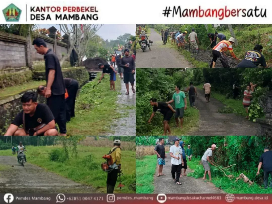 KEGIATAN BERSIH-BERSIH WARGA DESA MAMBANG MENYAMBUT HARI RAYA GALUNGAN DAN KUNINGAN 